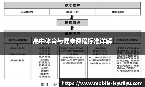 高中体育与健康课程标准详解